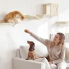 Klimací pro kočky – 10dílná sada pro montáž na zeď – Náhled obrázku produktu 4