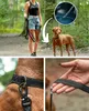lionto Laisse à pister pour chiens 20 m caoutchoutée, Voir les images du produit 3