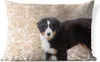 MuchoWow® Outdoor Kissen - Berner Sennenhund Welpe am Produktbild-Vorschau 1