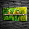 Tulup® Glas-Bild - 100x50 -Wandkunst - Wandbild hinter Produktbild-Vorschau 2