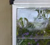Palram - Canopia Kunststoff Aluminium Anlehngewächshaus Produktbild-Vorschau 6