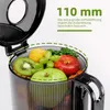 Slow Juicer Entsafter 250 W, Kaltpressentsafter mit Produktbild-Vorschau 14