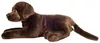 Teddy-Hermann Teddy Hermann Labrador schokobraun 50 cm Produktbild-Vorschau 6