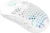 CHERRY XTRFY M42 RGB, Beidhändig, Optisch, RF Wireless + Produktbild-Vorschau 2