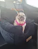 Siège auto pour chien avec laisse – panier de transport et Voir les images du produit 2