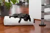 Smoothy Hundebett Classic Weiß 100x60x20cm – Robustes Produktbild-Vorschau 5