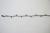 Mk Led String Lite 120 Led Ww 20M (019-310) Produktbild-Vorschau 6