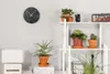 A collection of potted plants arranged on shelves and a table, with a clock on the wall. Náhľad obrázku produktu