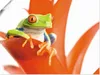 ARTland Poster Frosch auf seinem Thron Größe: 60x45 cm Produktbild-Vorschau 1