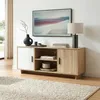 Televizní skříňka „Kenta“ se 2 dvířky, 120 x 39 x 52 cm, Náhled obrázku produktu 1
