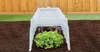 A clear plastic plant tunnel is placed over a head of lettuce and some red lettuce in dark soil, with a wooden fence and green artificial turf in the background. Water is being sprayed onto the tunnel. Produktbild-Vorschau
