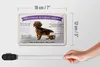 Blechschild Spruch 18x12cm Tiere Dackel willkommen wohne Produktbild-Vorschau 5