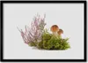 Bild 70x50 MDF-Rahmen Wandkunst Pflanze Pilze Natur Produktbild-Vorschau 1