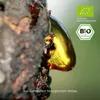 Combi Flora Akazienfaser - Über 80% Ballaststoffe - 200 g Produktbild-Vorschau 4