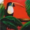 ARTland Wandbild, selbstklebend Tukan Größe: 40x40 cm Produktbild-Vorschau 1