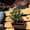 KADAX kvetinový box na europaletu, hnedý 6 kusov, kvetinový Náhľad obrázku produktu 5