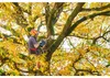 Akumulatorowa piła łańcuchowa Metabo MS 18 LTX BL 25, 18 V, Podgląd zdjęcia produktu 4