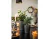 LECHUZA Pot à plantes Mini-DELTINI Premium Anthracite Voir les images du produit 6