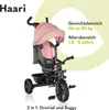 Lionelo Haari trójkołowy rower dziecięcy trójkołowy rower Podgląd zdjęcia produktu 32
