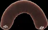 Efalock Knotenrolle 18cm mittel mit Druckknopf Produktbild-Vorschau 3