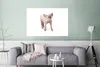 MuchoWow® Poster Schwein - Tiere - Weiß 120x80 cm - Bilder Produktbild-Vorschau 5