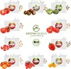 Kit de graines de tomates(10 variétés) - Kit de culture de Voir les images du produit 2