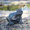 CLGarden Wasserspeier Figur Frosch für Teich Wasser Produktbild-Vorschau 2