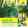 Neudorff SF Nematoden gegen Trauermücken - 5 Mio - für 50 Produktbild-Vorschau 9