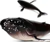 Simulation animal marin Modèle requin baleine Big Buckel Voir les images du produit 2