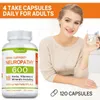 Neuropathy Nerve Support (120 Kapseln) Produktbild-Vorschau 11