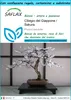 SAFLAX Set regalo - Ciliegio del Giappone / Sakura - 30 Anteprima dell’immagine prodotto 1