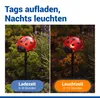 Maximex Solar LED Gartenstecker Marienkäfer, 4er Set, rote Produktbild-Vorschau 5