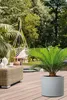 Scheurich Panzano 50, Pflanzgefäß/Blumentopf/Pflanzkübel, Produktbild-Vorschau 8