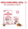 Royal Canin Kitten Jelly, Kotě, Kuřecí maso, 85 g Náhled obrázku produktu 25