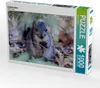 CALVENDO Puzzle Eichhörnchen | 1000 Teile Lege-Größe Produktbild-Vorschau 1