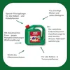 Substral Balkonpflanzen Nahrung Premium Flüssigdünger, 2 L Produktbild-Vorschau 4