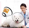 Hundekegel Halsband, Verstellbar Haustier Halsband Produktbild-Vorschau 5