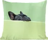 MuchoWow® Zierkissen Sofakissen Wohnzimmer Dekokissen 45x45 Produktbild-Vorschau 1