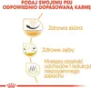 Royal Canin Shih Tzu Adult, Dorosły, Shih Tzu, Mini (5 - 10 Podgląd zdjęcia produktu 5