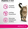 Perfect Fit Adult 1+ - Trockenvollnahrung für ausgewachsene Produktbild-Vorschau 3