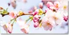 Tulup® Leinwandbild - 140x70 cm - Wandkunst - Drucke auf Produktbild-Vorschau 1