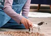 Cavallo Schleich Knabstupper castrone Anteprima dell’immagine prodotto 7