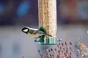 dobar Kleine Futtersäule mit Anflugstangen, Futterspender Produktbild-Vorschau 5