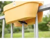 elho® Vibia campana Geländerkasten Flower Bridge Honiggelb Produktbild-Vorschau 7