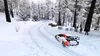 WRC Generations  (PS4) Produktbild-Vorschau 3