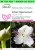 SAFLAX Garden to go - Echter Kapernstrauch - Capparis Produktbild-Vorschau 1