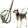 Postroj pro psy Company of Animals FOREST green 12 Náhled obrázku produktu 1