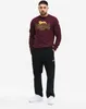Herren Rundhals Sweatshirt normale Passform LAWINS Produktbild-Vorschau 4
