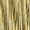 Windhager Sichtschutzmatte aus Schilf, 100 cm Höhe, stabil Produktbild-Vorschau 4