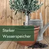 Meine Orangerie Olivenbaum Erde 10 L - Spezial Erde für Produktbild-Vorschau 5